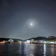 トリココの画像