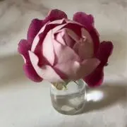 れさみの画像