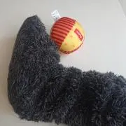 ゆうすの画像