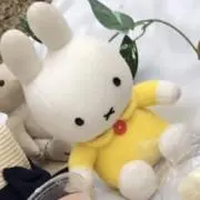 かりんとーの画像