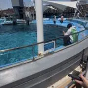 いーずーの画像