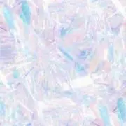うさぎの画像