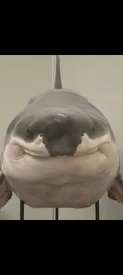 酒樽マニアの画像