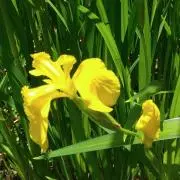 にこ♡断捨離中♡の画像