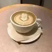 ぱるるの画像