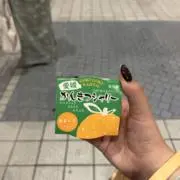 たぬきの画像