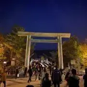ロマネスコ【プロフ必読】の画像