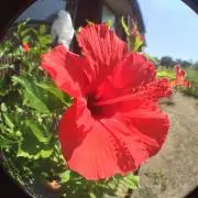 thtkiの画像