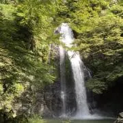 MNowの画像