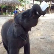 keiの画像