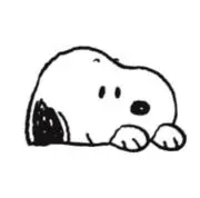 こあらの画像