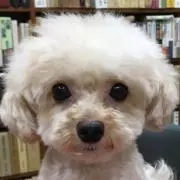 shishimaru