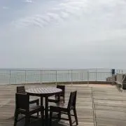 ひかゆうの画像