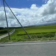 なさん￤プロフ一読推薦の画像