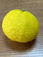 ならーらの画像