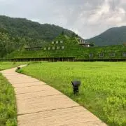 青藍の画像