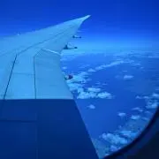 ビッドル
