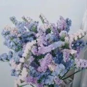 マユ⭐️プロフ要確認＆まとめ買い相談◎✨の画像