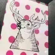 Yachi※プロフ必読