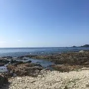 むっくん