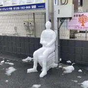 ちゃの画像