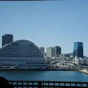 くうちゃんの画像