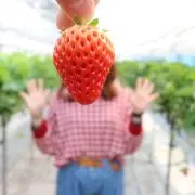 ぽりの画像