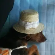 YURIPE※プロフィールご覧下さい※