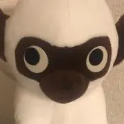 Giuliettaの画像