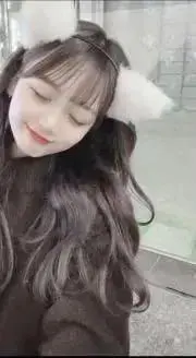 ねこの画像