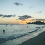るるの画像