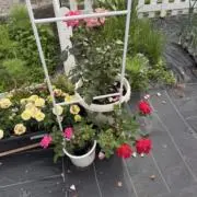 Louis Vuitton 財布 W19×H105×D3cm BRW - メルカリ