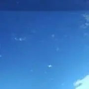 もふもふの画像