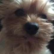 ヒロ☆