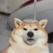 ひろし