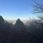ハートの画像