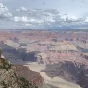 ちょむの画像