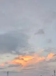ゆーの画像