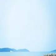YY