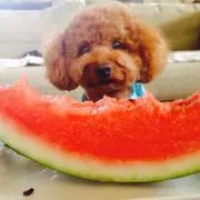 tan☆tanの画像