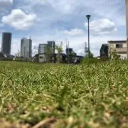 あおの画像