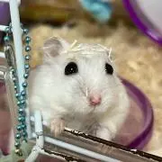 りょーた