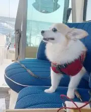 mimirey