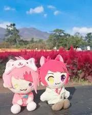 博美の画像