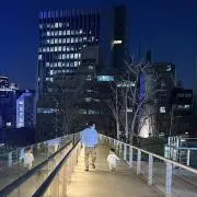 凪の介の画像
