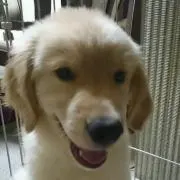 お茶っ葉*プロフ見てね*の画像