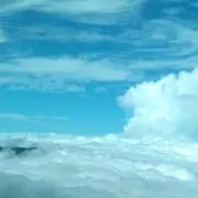 ななばななの画像