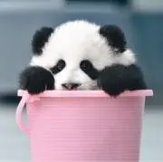 ゆば〜ば