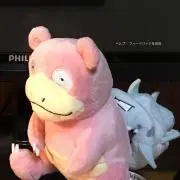 NS