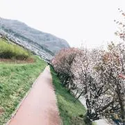 さくらもち